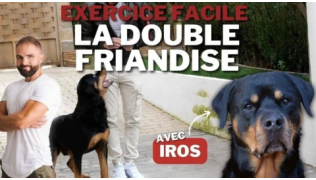 L'éducateur canin Tony Silvestre réalise l'exercice de la double friandise avec son chien Rottweiler