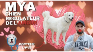 Tony Silvestre se tient à côté d'une chienne Montagne des Pyrénées entourée de coeurs roses