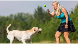 Une maîtresse donne un cours d'obéissance à son chien dans la joie et la bonne humeur