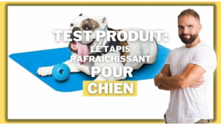 L'éducateur canin Tony Silvestre teste le tapis rafraîchissant pour chien