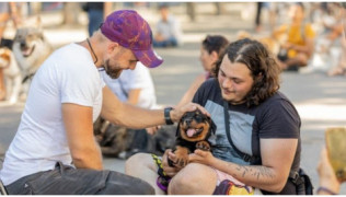 Esprit Dog Solidarité de Caen à Marseille