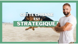 Tony Silvestre se tient à debout à côté d'un chien Berger Allemand qui court sur le sable d'une plage