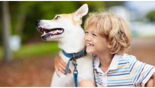 Un enfant serre son chien dans son bras lors d'une balade dans un parc
