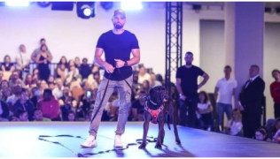 Salon du chien : retour sur la première édition d’Esprit Dog Show !
