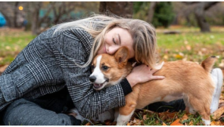 Une femme serre dans ses bras son chien de race Corgi qu'elle vient de prendre