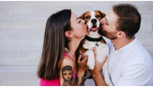 Un couple porte et embrasse leur chien de race Beagle