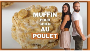Tony Silvestre présente une recette de muffins au poulet pour chien