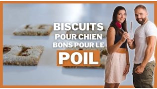 Tony Silvestre présente une recette de biscuits pour chien bons pour le poil