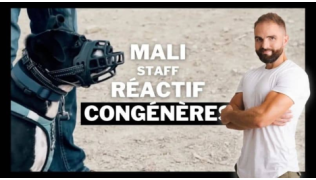 L'éducateur canin Tony Silvestre se tient debout à côté d'une Staff réactive congénères