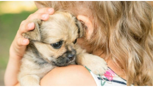 Un enfant tient un chiot dans ses bras