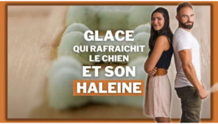 Glace rafraîchissante pour chien !