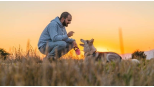 Êtes-vous prêt à avoir un chien ?