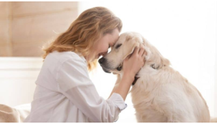 Tel maître, tel chien : mythe ou réalité ?