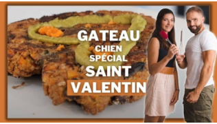 Gâteau pour chien : recette Saint-Valentin