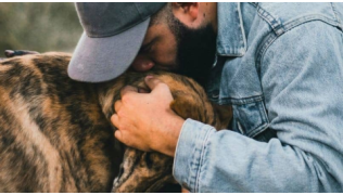 Un bon éducateur canin embrasse la tête d'un chien Lévrier qu'il tient contre lui