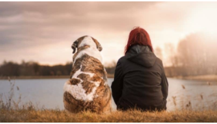 Un chien et sa maîtresse, assis de dos au bord d'un lac, regardent l'horizon