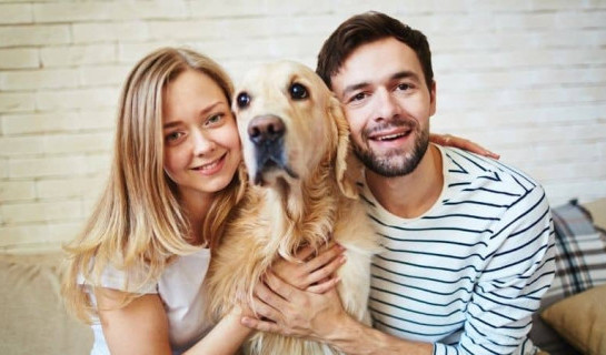Un couple fait un câlin à leur chien de race Golden assis sur le canapé