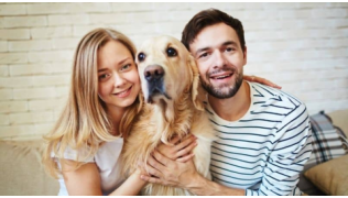 Un couple fait un câlin à leur chien de race Golden assis sur le canapé