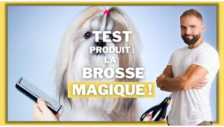 L'éducateur canin Tony Silvestre teste la brosse magique pour chien !