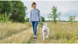 Un chien marche à la gauche de sa maîtresse pendant une balade