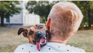 Un chien foufou ne sachant pas gérer ses émotions dans les bras de son maître