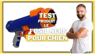 L'éducateur canin Tony Silvestre teste le fusil nerf pour jouer et s’amuser avec un chien !