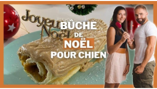 Une recette de bûche de Noël pour chien !