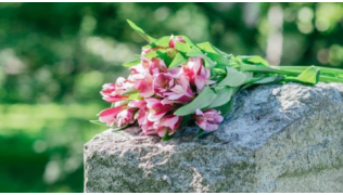 Un bouquet de fleur déposé sur la tombe d'un chien