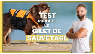 L'éducateur canin Tony Silvestre teste le gilet de sauvetage pour chien