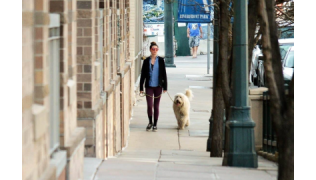 Promener son chien le tue plus vite !