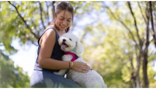 Un éducateur canin comportementaliste est assis par terre avec un chien