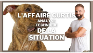 L’affaire Curtis, analyse technique de la situation