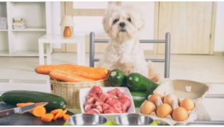 Quels sont les aliments toxiques pour le chien ?