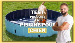 L'éducateur canin Tony Silvestre teste la piscine pour chien pour rafraîchir son chien en été !