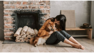 Une maîtresse est assise avec son chien et l'écoute attentivement
