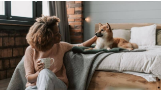 Faut-il faire stériliser son chien ?