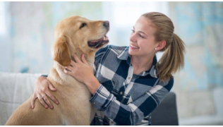 Une femme regarde et lit son chien de race Labrador pour mieux le dresser