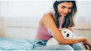 Un petit chien est couché dans les bras de sa maîtresse atteinte de diabète