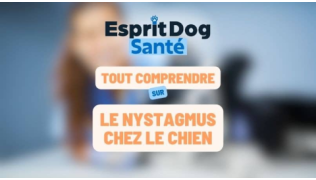 Esprit Dog Santé : Tout comprendre sur le nystagmus chez le chien