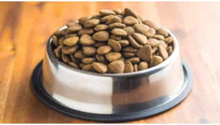 La meilleure croquette pour alimenter un chien