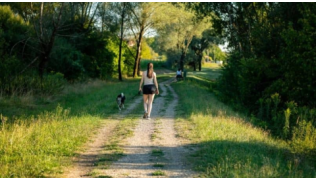Une femme promène son chien en longe dans la campagne sur un chemin sans faire d'erreurs