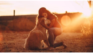 Une bonne maîtresse prend son chien dans ses bras au soleil couchant