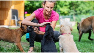 Une éducatrice canine donne des friandises à des chiots dans une école du chiot