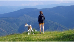 Une maîtresse et son chien Lévrier regardent le paysage depuis le haut d'une montagne