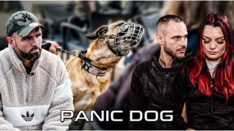 Comment sauver un chien jugé ingérable après des années d’échec ?