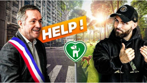 Comment concilier vie urbaine et bien-être canin ?