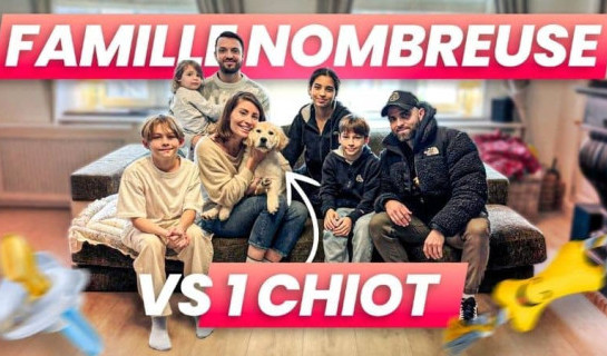 L'éducateur canin Tony Silvestre donne des conseils à Jill pour l'éducation de son chiot Golden en famille