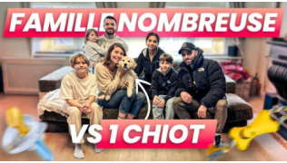 L'éducateur canin Tony Silvestre donne des conseils à Jill pour l'éducation de son chiot Golden en famille