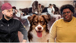 L'éducateur canin Tony Silvestre vient en aide à une maîtresse qui n'arrive pas à éduquer son chien Berger Australien