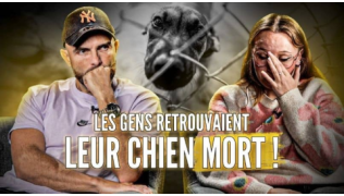 L'éducateur canin Tony Silvestre interviewe une témoin du chenil de l'horreur